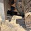 2019-caterpillar-330gc-image-29