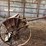 superior-7ft-grain-drill-image-3