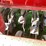 case-ih-5100-image-11
