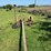 oliver-horse-drawn-sickle-mower-image-6
