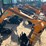 unused-future-ft13cj-excavator-image-12