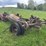 ford-truck-chassis-image-4