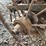superior-7ft-grain-drill-image-38