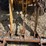 2015-caterpillar-903c-image-12