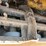 2003-caterpillar-277-image-22