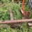 #113-•-log-deck-shaft-image-11