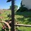 oliver-horse-drawn-sickle-mower-image-10