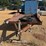 w-w-equipment-trailer-16'-image-8