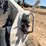 2024-bobcat-t770-image-12