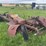 ford-truck-chassis-image-2