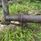 (2)-oliver-widefront-ends-image-8