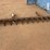 root-rake-10'-image-2
