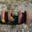 case-ih-10-image-5
