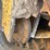 2012-caterpillar-279c2-image-21