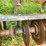 case-ih-6500-image-30