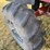 case-ih-2388-image-51