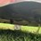 #124-•-massey-ferguson-mf210-tractor-image-63