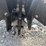 #2000-•-#26295-•-unused-giyi-skid-steer-stump-grinder-dszymj250762-image-5