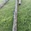 (3)-high-line-poles,-1-–-45’,-1-–-40’-and-1-–-30’,-buying-all-for-one-money-image-7