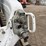 2022-bobcat-t66-image-12