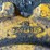 (2)-minneapolis-moline-half-wheel-weights-image-5