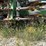 john-deere-1900-image-75