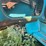 #280-•-#24138-•-inop-1971-ford-t/a-single-cab-auger-truck-n80fvl70713-image-26