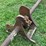 #113-•-log-deck-shaft-image-4