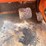 #2059-•-lull-telehandler-*non-runner*-*fire-damage*-image-67
