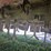 alloway-20-image-16