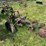 2-bottom-plow-image-5
