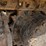 2005-caterpillar-321c-lcr-image-10