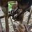 oliver-superior-8ft-grain-drill-image-50
