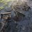 (5)-coulters-off-a-john-deere-2800-plow,-buying-all-for-one-money-image-8