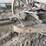 columbus-wagoner-image-60