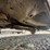 ford-escape-image-24