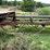 #115-•-concave-belt-conveyor-image-5