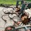 brillion-cultivator-image-12