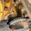 2018-caterpillar-259d-image-10