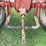 farmall-super-h-image-15