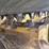 2014-caterpillar-279d-image-11