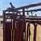 tarter-squeeze-chute-3058-image-9
