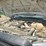 2012-ford-f550-image-20