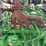 #51-•-#24920-•-john-deere-3029-3-cyl-power-unit-pe3029t429252-inv#:-24920-image-6