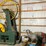 #107-•-mereen-johnson-headrig-image-3