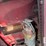 case-ih-2388-image-31