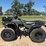 2000-honda-fourtrax-300-image-1