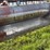 case-ih-1020-image-21