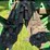 john-deere-693-image-7