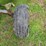 john-deere-4020-image-28